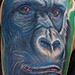Tattoos - Gorilla Tattoo - 69616